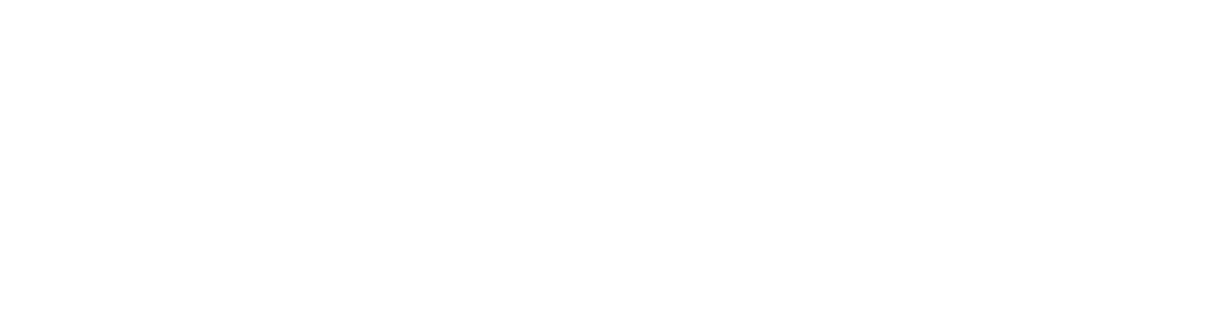International Institute in Geneva logo